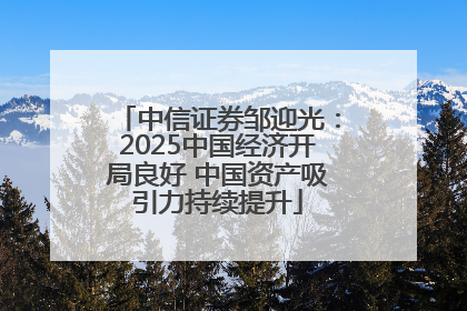 中信证券邹迎光：2025中国经济开局良好 中国资产吸引力持续提升
